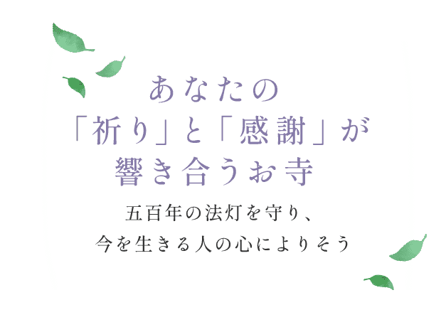 あなたの「祈り」と「感謝」が響き合うお寺 五百年の法灯を守り、今を生きる人の心によりそう